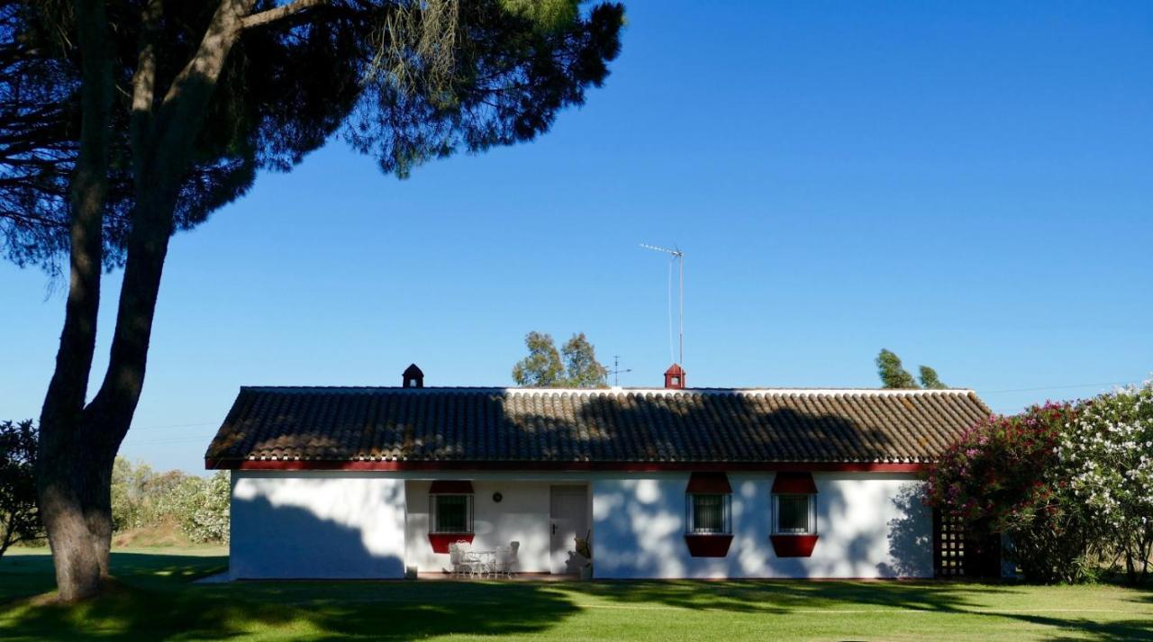 La Casita De Hato Pinos, Un Rincon En Donana Aznalcázar Exteriér fotografie