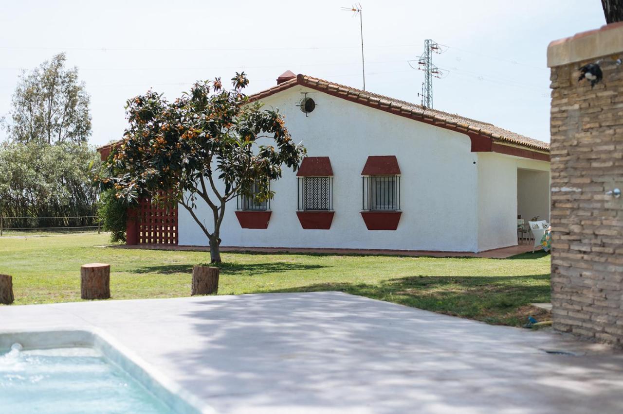 La Casita De Hato Pinos, Un Rincon En Donana Aznalcázar Exteriér fotografie