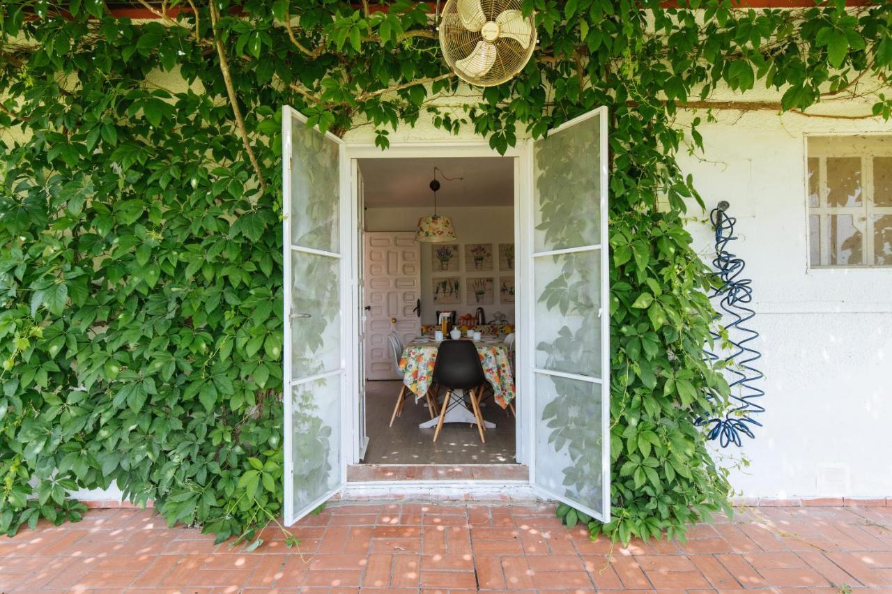 La Casita De Hato Pinos, Un Rincon En Donana Aznalcázar Exteriér fotografie